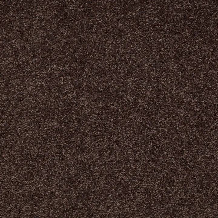 Shaw Floors Magic At Last II 12 — Dark Chocolate · E0201-00708 — flooring selection with LeviArs Design & Remodeling