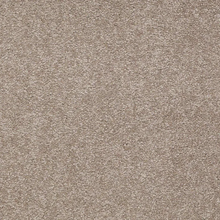 Shaw Floors Magic At Last II 12 — Leapfrog · E0201-00346 — flooring selection with LeviArs Design & Remodeling