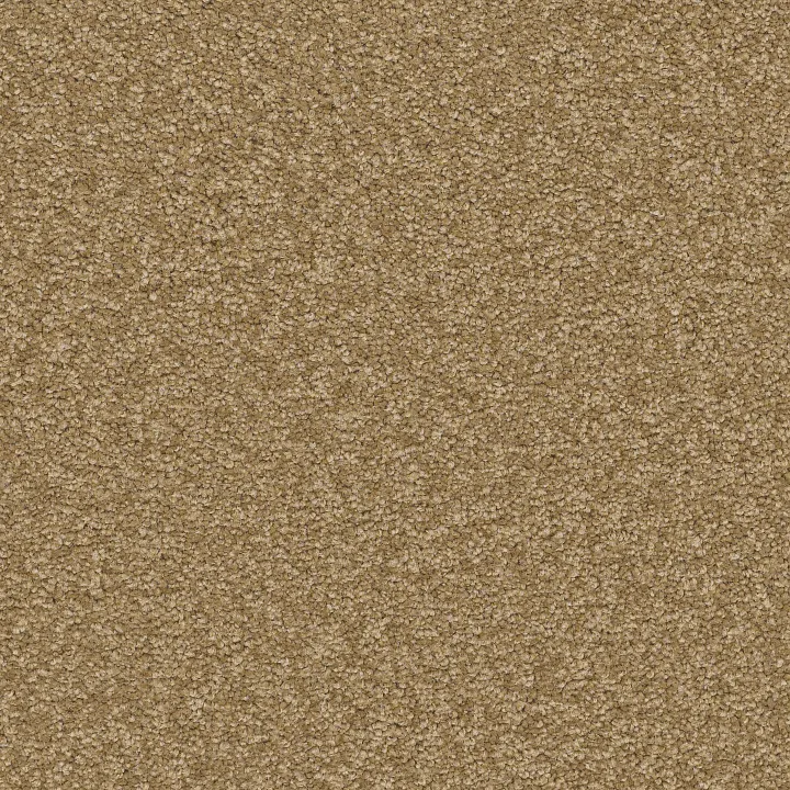 Shaw Floors Magic At Last II 12 — Malted Milk · E0201-00700 — flooring selection with LeviArs Design & Remodeling