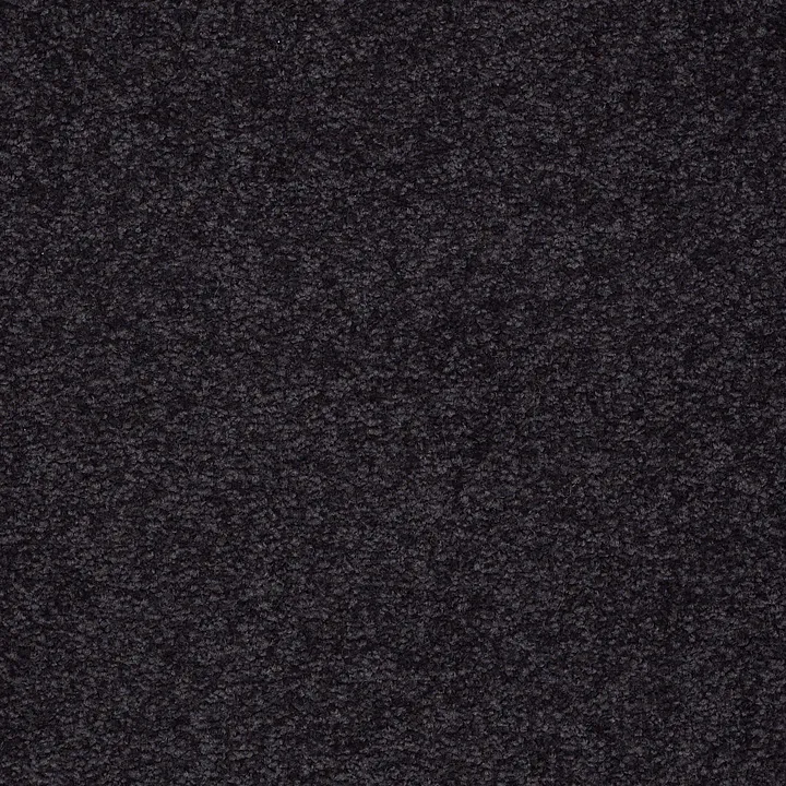 Shaw Floors Magic At Last II 12 — Midnight · E0201-00543 — flooring selection with LeviArs Design & Remodeling