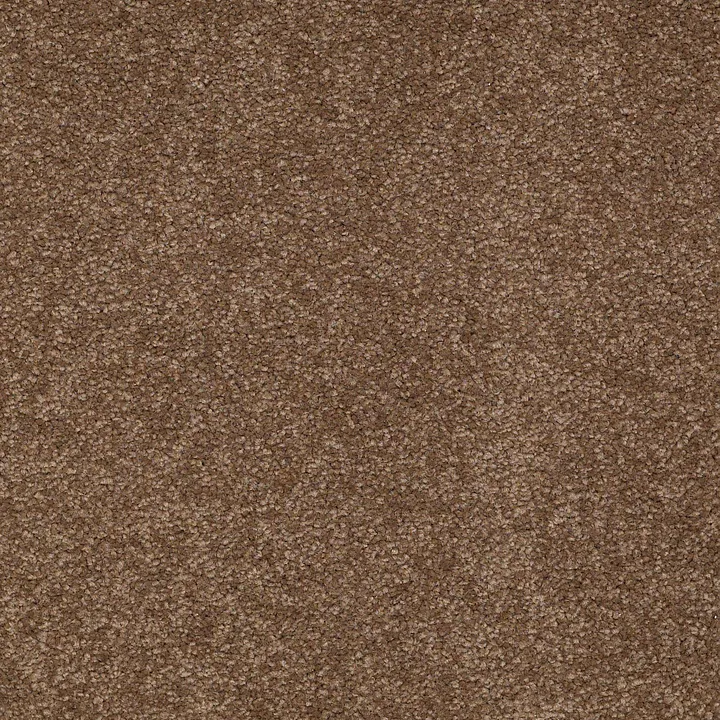 Shaw Floors Magic At Last II 12 — Tree Moss · E0201-00703 — flooring selection with LeviArs Design & Remodeling