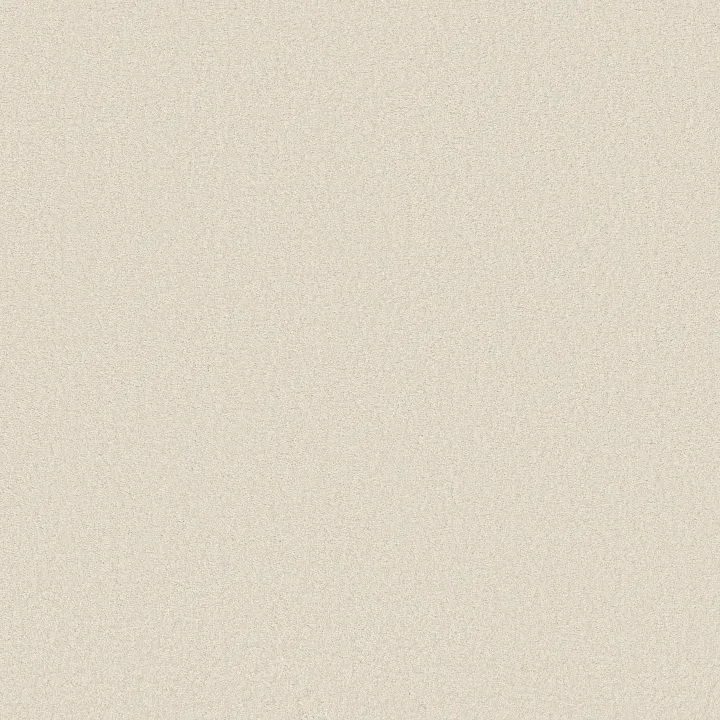 Shaw Floors Magic At Last III 12' — Alabaster · E0204-00149 — flooring selection with LeviArs Design & Remodeling