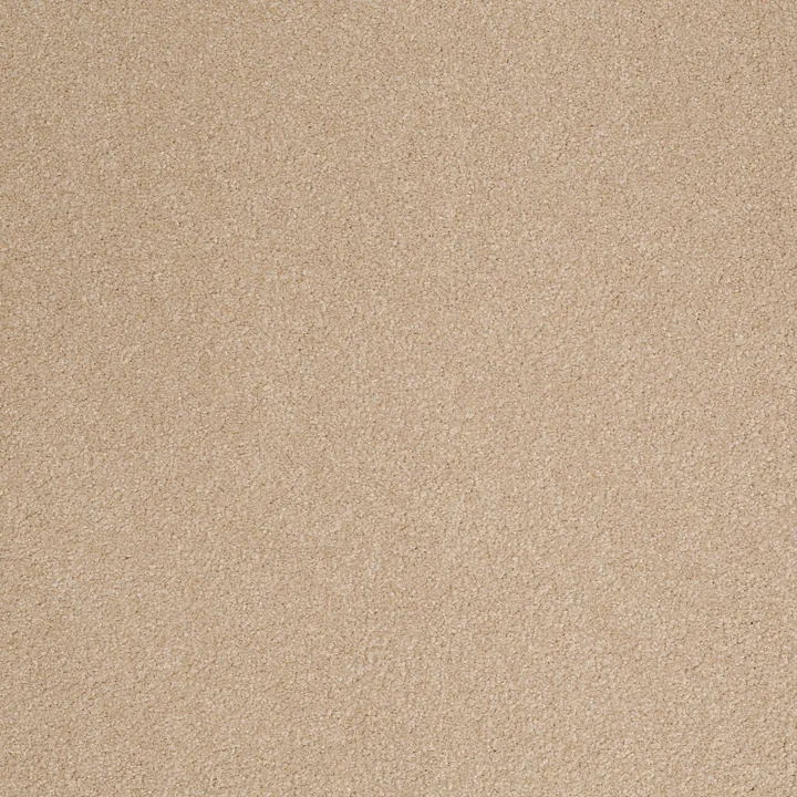 Shaw Floors Magic At Last III 12' — Antique White · E0204-00150 — flooring selection with LeviArs Design & Remodeling