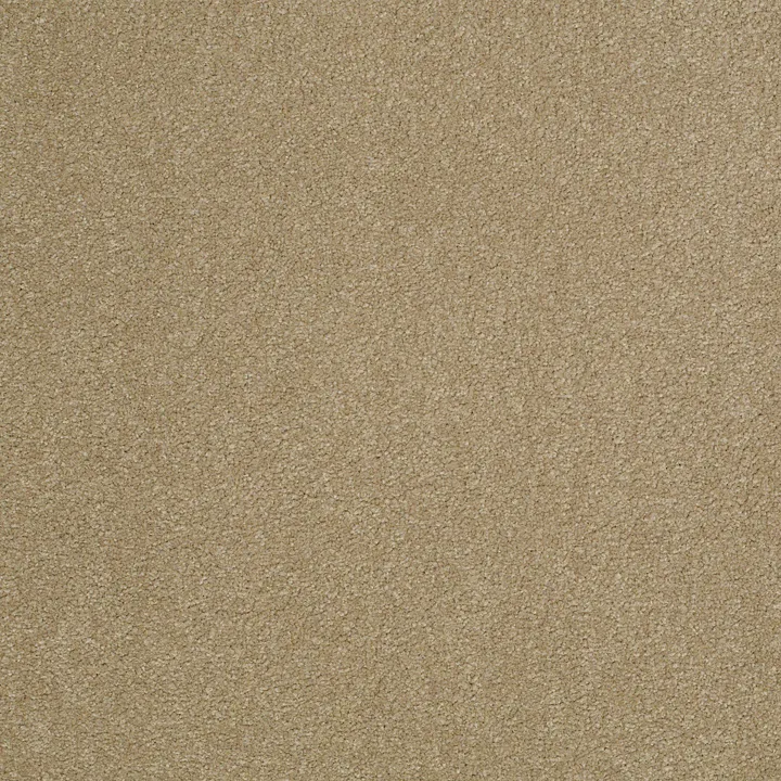 Shaw Floors Magic At Last III 12' — Cardboard · E0204-00245 — flooring selection with LeviArs Design & Remodeling