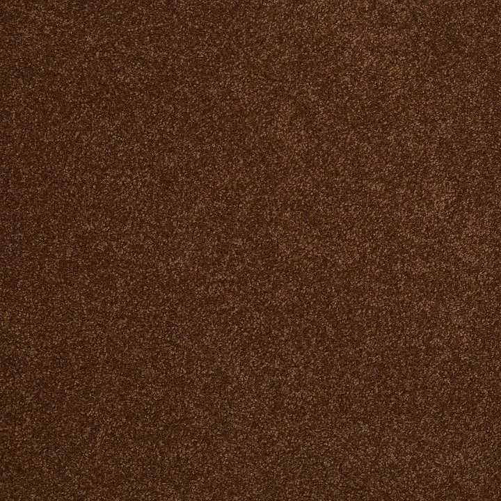 Shaw Floors Sandy Hollow Classic III 12' — Tortoise Shell · E0552-00707 — flooring selection with LeviArs Design & Remodeling