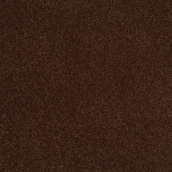 Shaw Floors Sandy Hollow Classic III 12' — Coffee Bean · E0552-00711 — flooring selection with LeviArs Design & Remodeling