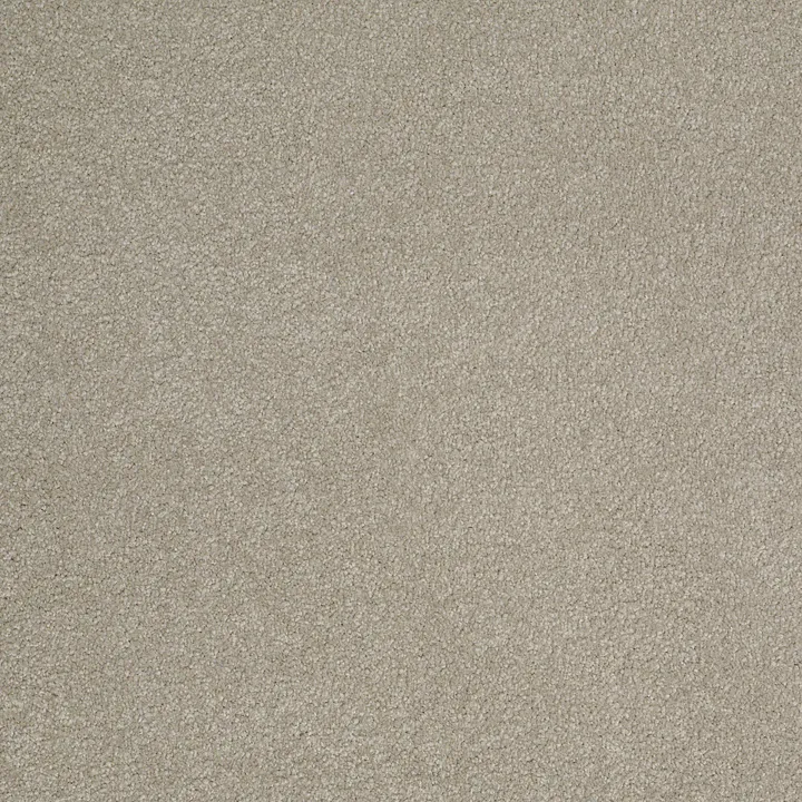 Shaw Floors Sandy Hollow Classic III 12' — London Fog · E0552-00501 — flooring selection with LeviArs Design & Remodeling