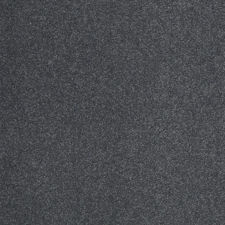 Shaw Floors Sandy Hollow Classic III 12' — Cadet · E0552-00401 — flooring selection with LeviArs Design & Remodeling