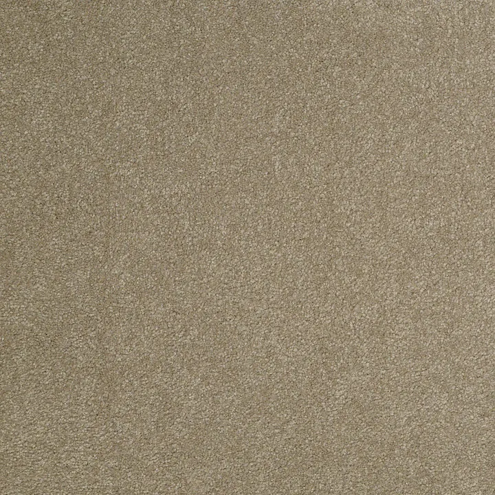 Shaw Floors Magic At Last III 12' — Leapfrog · E0204-00346 — flooring selection with LeviArs Design & Remodeling