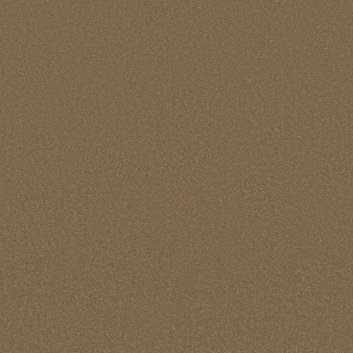 Shaw Floors Sandy Hollow Classic III 12' — Muffin · E0552-00700 — flooring selection with LeviArs Design & Remodeling