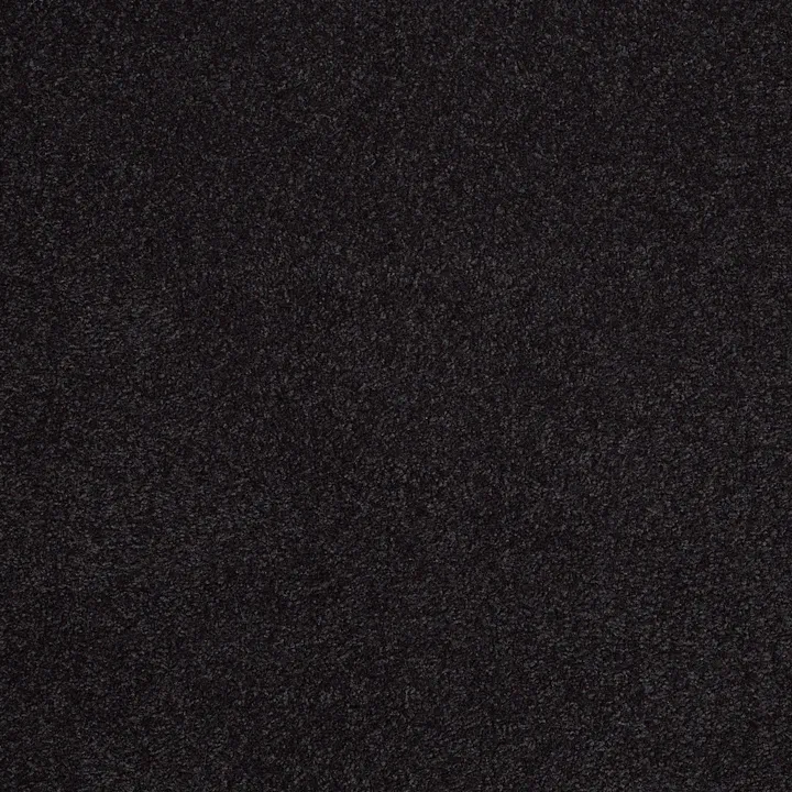 Shaw Floors Sandy Hollow Classic III 12' — Graphite · E0552-00503 — flooring selection with LeviArs Design & Remodeling