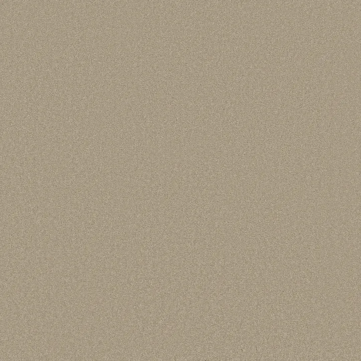 Shaw Floors Magic At Last III 12' — Quartz · E0204-00144 — flooring selection with LeviArs Design & Remodeling