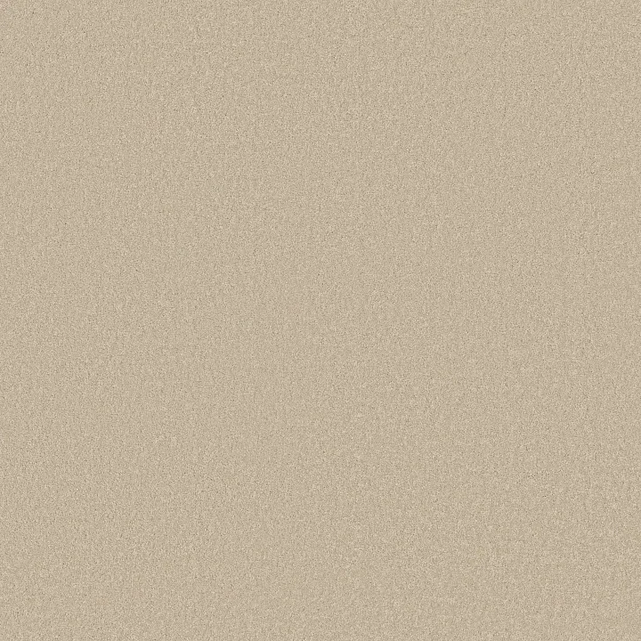 Shaw Floors Magic At Last III 12' — Sea Salt · E0204-00142 — flooring selection with LeviArs Design & Remodeling