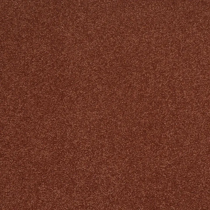 Shaw Floors Sandy Hollow Classic III 12' — Spanish Tile · E0552-00601 — flooring selection with LeviArs Design & Remodeling