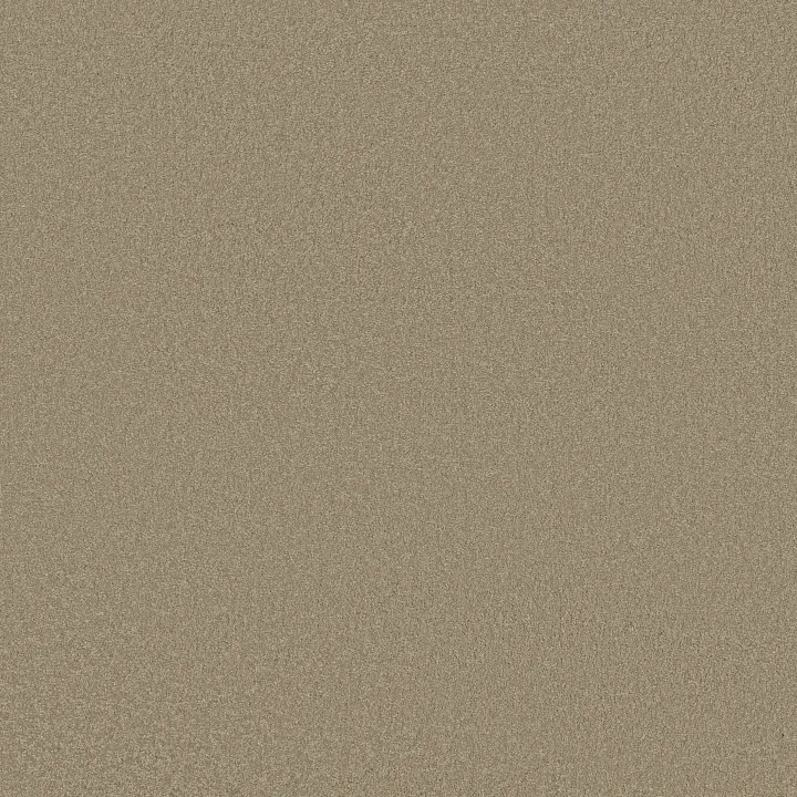 Shaw Floors Magic At Last IV 12 — Balanced Beige · E0205-00145 — flooring selection with LeviArs Design & Remodeling