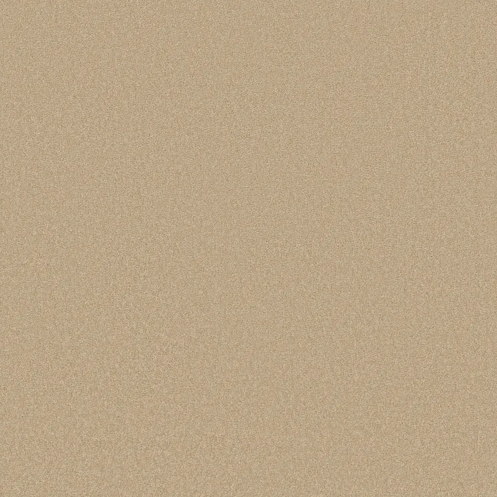 Shaw Floors Magic At Last IV 12 — Cameo · E0205-00146 — flooring selection with LeviArs Design & Remodeling