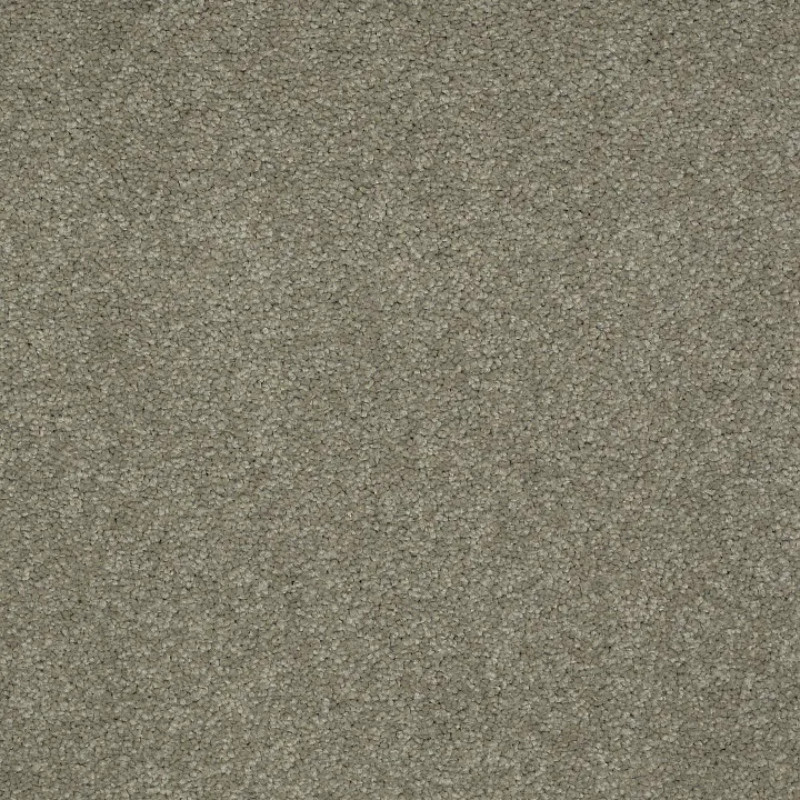 Shaw Floors Magic At Last IV 12 — Gunmetal · E0205-00501 — flooring selection with LeviArs Design & Remodeling