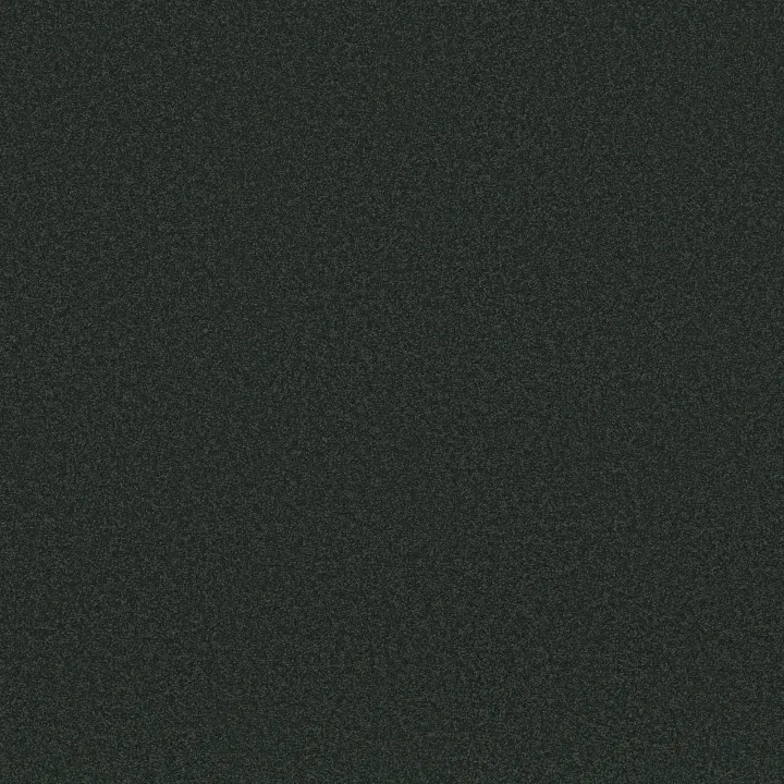 Shaw Floors Magic At Last IV 12 — Midnight · E0205-00543 — flooring selection with LeviArs Design & Remodeling