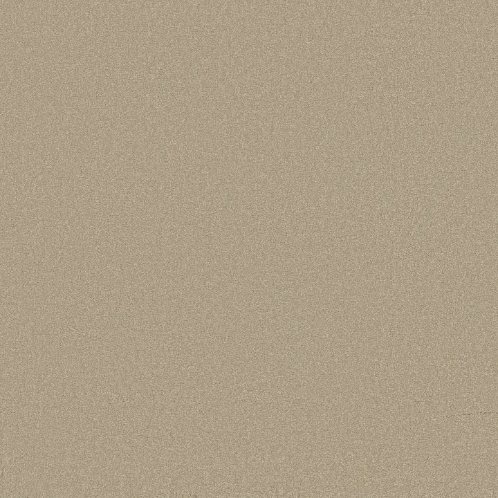 Shaw Floors Magic At Last IV 12 — Quartz · E0205-00144 — flooring selection with LeviArs Design & Remodeling