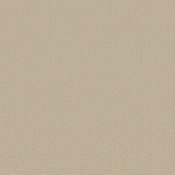 Shaw Floors Magic At Last IV 12 — Sea Salt · E0205-00142 — flooring selection with LeviArs Design & Remodeling