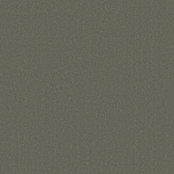 Shaw Floors Magic At Last IV 15' — Aluminum · E0237-00502 — flooring selection with LeviArs Design & Remodeling