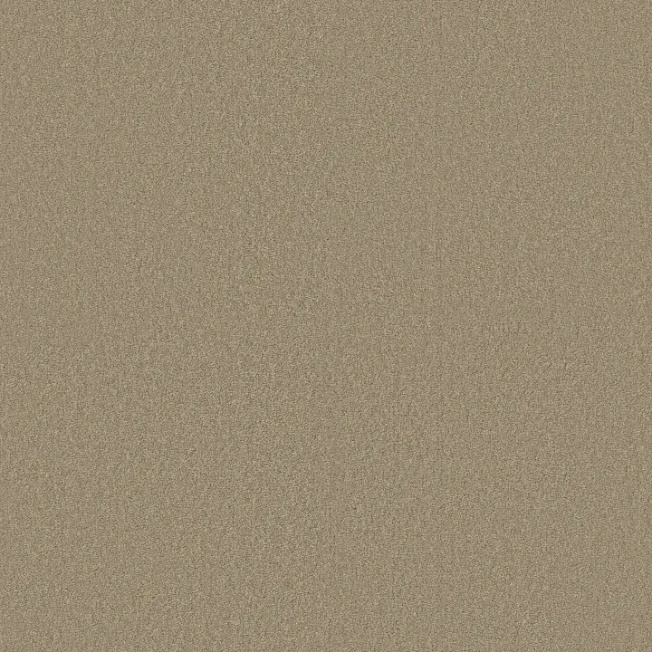 Shaw Floors Magic At Last IV 15' — Balanced Beige · E0237-00145 — flooring selection with LeviArs Design & Remodeling