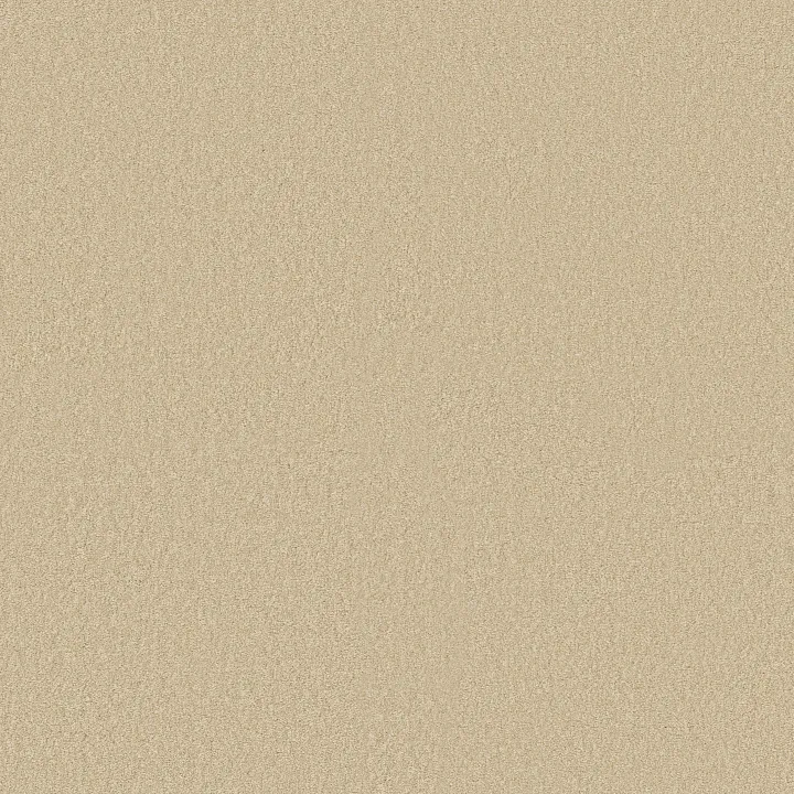 Shaw Floors Magic At Last IV 15' — Butternut · E0237-00240 — flooring selection with LeviArs Design & Remodeling