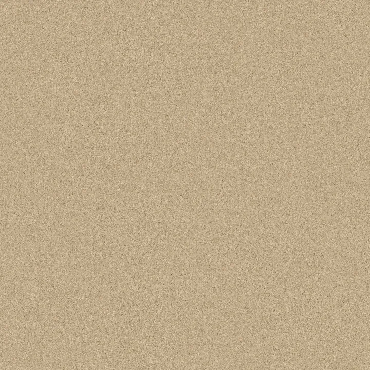 Shaw Floors Magic At Last IV 15' — Cameo · E0237-00146 — flooring selection with LeviArs Design & Remodeling