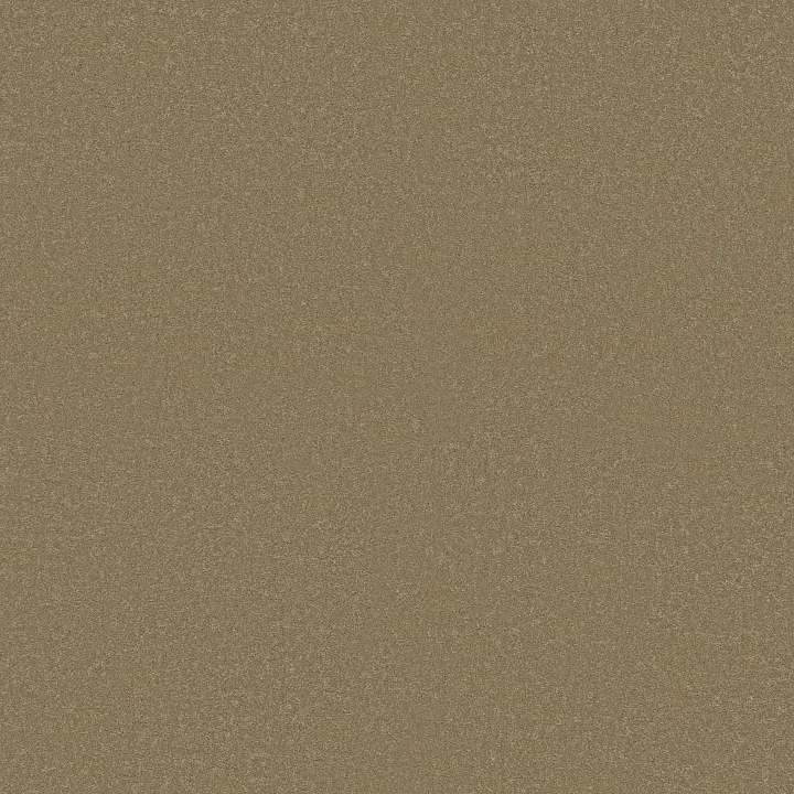 Shaw Floors Magic At Last IV 15' — Cardboard · E0237-00245 — flooring selection with LeviArs Design & Remodeling