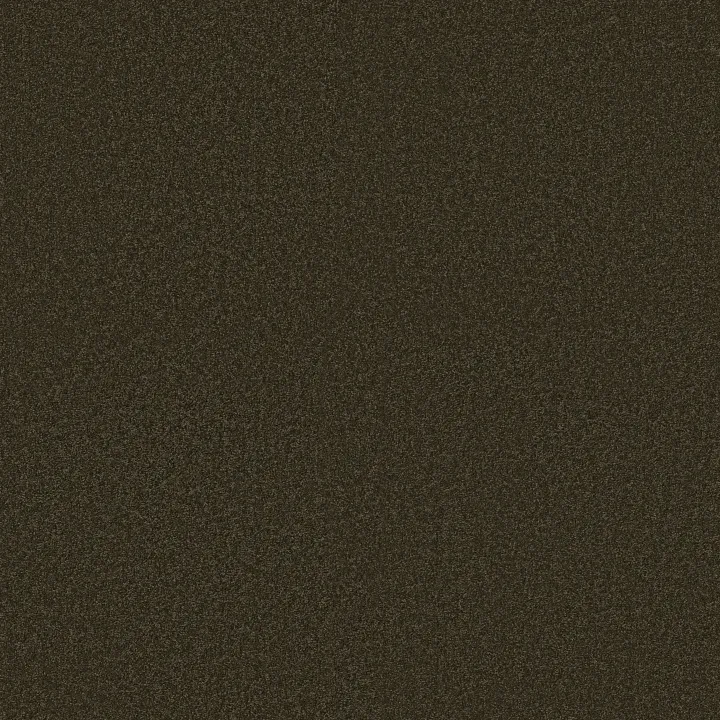 Shaw Floors Magic At Last IV 15' — Dark Chocolate · E0237-00708 — flooring selection with LeviArs Design & Remodeling