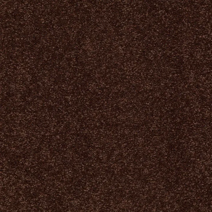 Shaw Floors Magic At Last IV 15' — Fudge Brownie · E0237-00711 — flooring selection with LeviArs Design & Remodeling