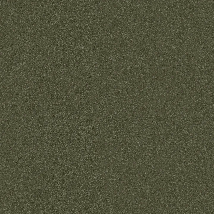 Shaw Floors Magic At Last IV 15' — Garden Spot · E0237-00345 — flooring selection with LeviArs Design & Remodeling