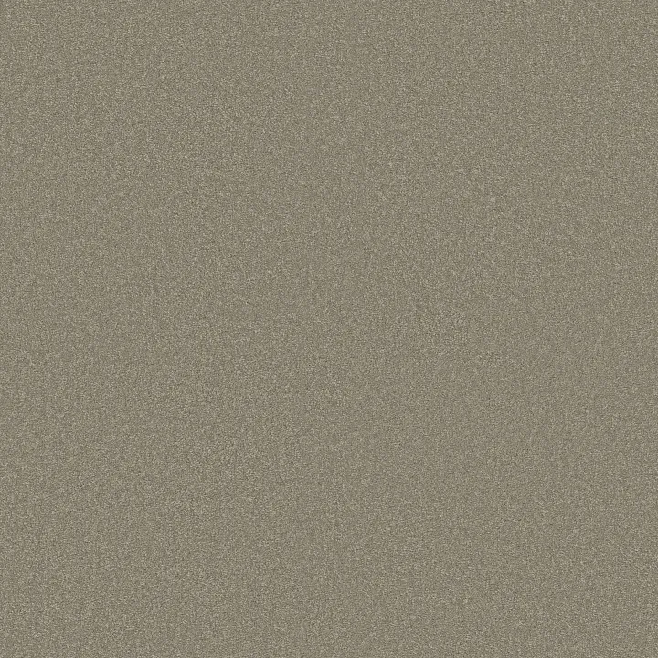 Shaw Floors Magic At Last IV 15' — Gunmetal · E0237-00501 — flooring selection with LeviArs Design & Remodeling