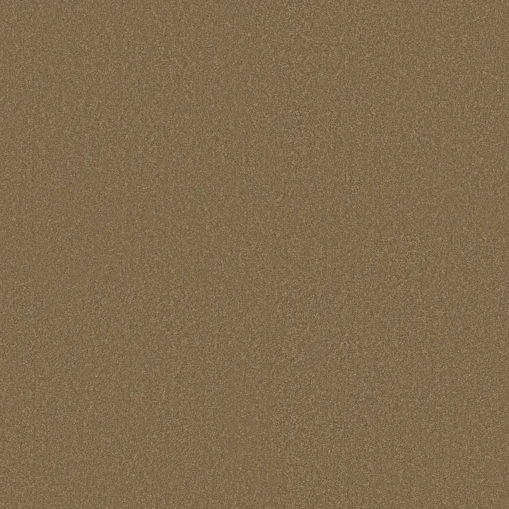 Shaw Floors Magic At Last IV 15' — Malted Milk · E0237-00700 — flooring selection with LeviArs Design & Remodeling