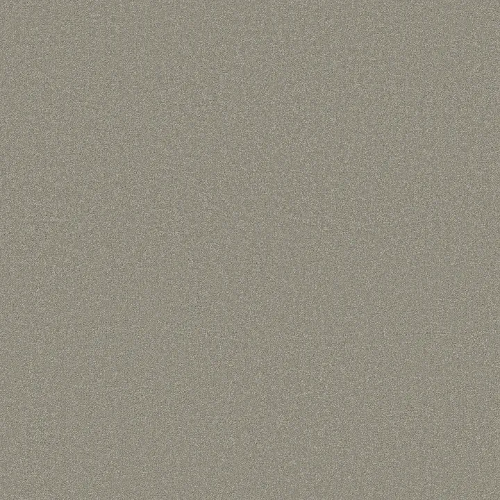 Shaw Floors Magic At Last IV 15' — Nickel · E0237-00500 — flooring selection with LeviArs Design & Remodeling