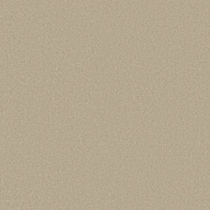 Shaw Floors Magic At Last IV 15' — Quartz · E0237-00144 — flooring selection with LeviArs Design & Remodeling