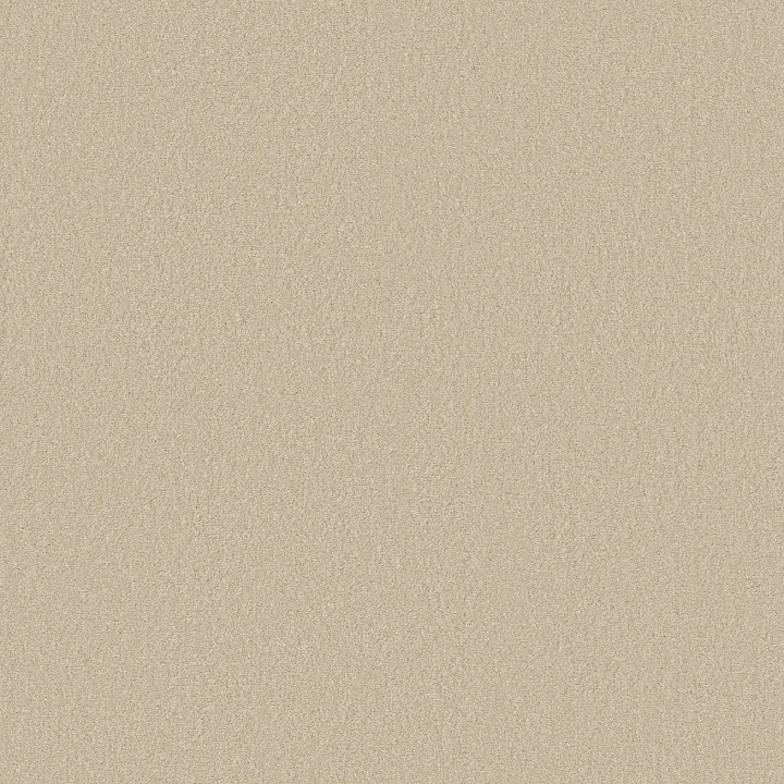 Shaw Floors Magic At Last IV 15' — Sea Salt · E0237-00142 — flooring selection with LeviArs Design & Remodeling