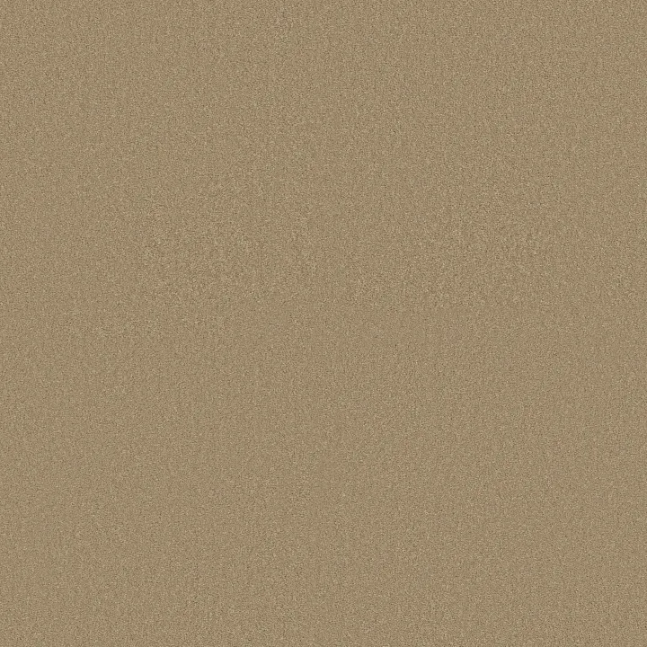 Shaw Floors Magic At Last IV 15' — Shell · E0237-00148 — flooring selection with LeviArs Design & Remodeling