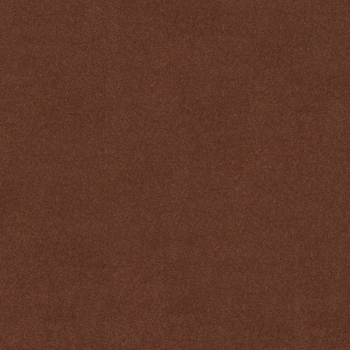 Shaw Floors Magic At Last IV 15' — Spice · E0237-00641 — flooring selection with LeviArs Design & Remodeling