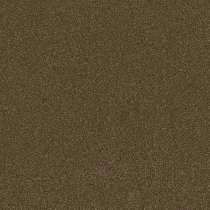 Shaw Floors Magic At Last IV 15' — Tree Moss · E0237-00703 — flooring selection with LeviArs Design & Remodeling