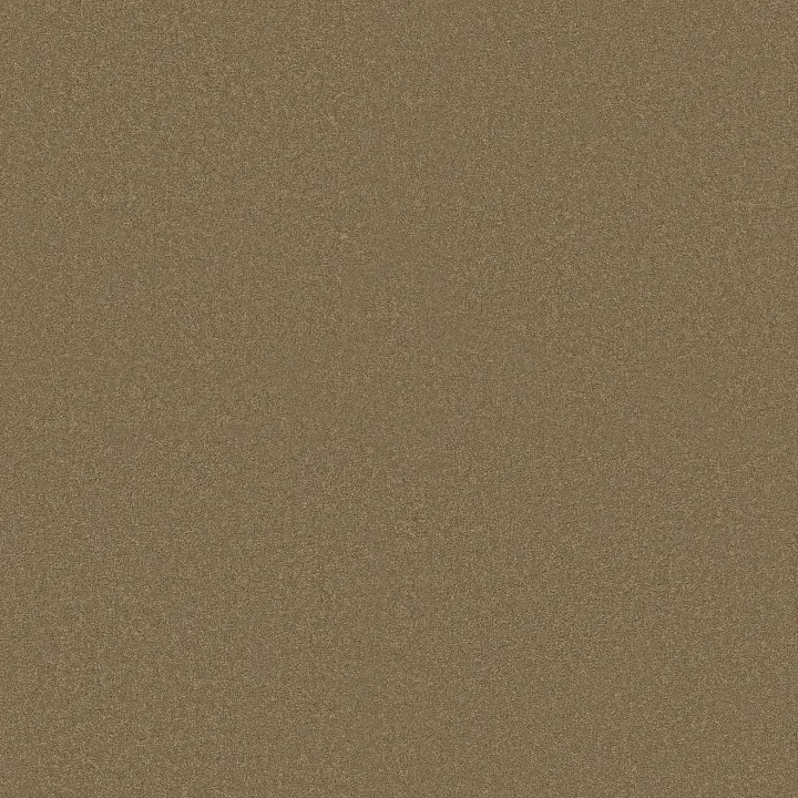 Shaw Floors Magic At Last IV 15' — Wheat Grass · E0237-00341 — flooring selection with LeviArs Design & Remodeling