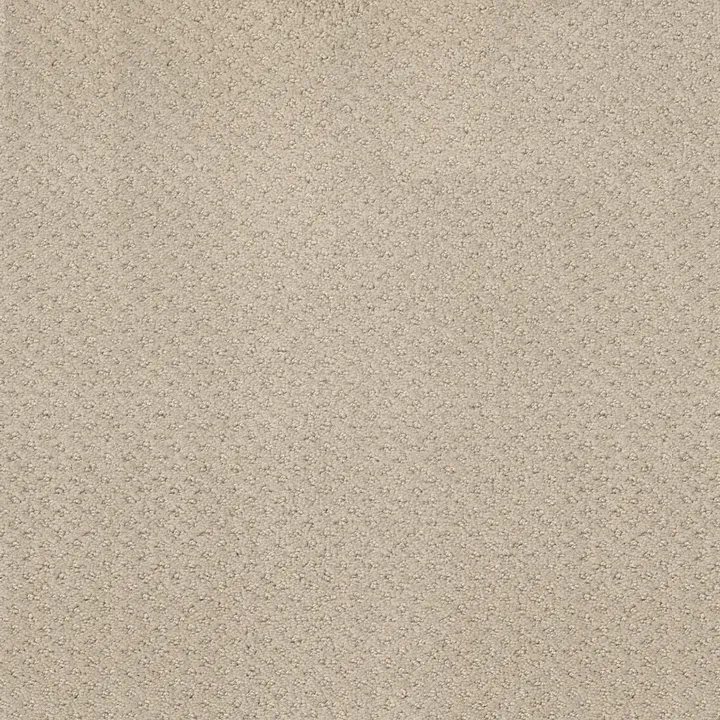 Shaw Floors Mainstay — Butter Cream · 5E292-00107 — flooring selection with LeviArs Design & Remodeling