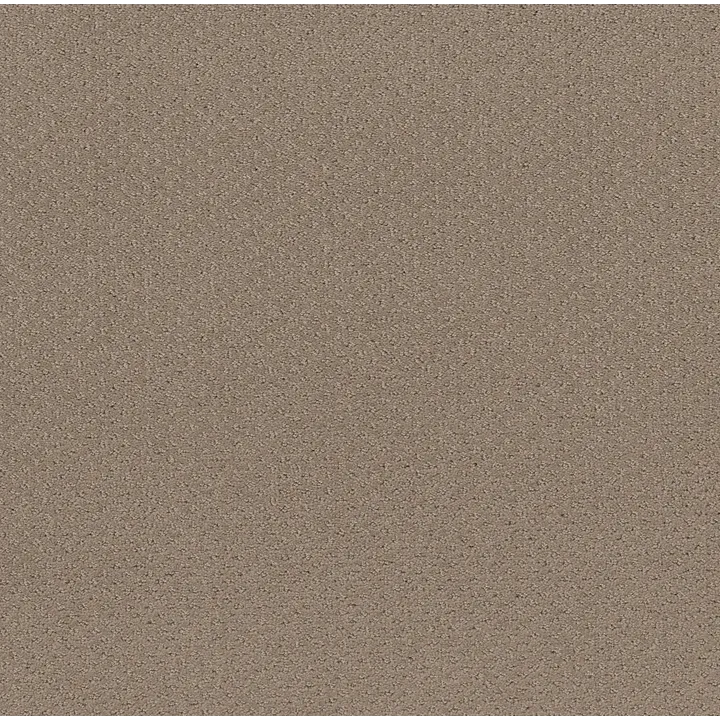 Shaw Floors Mainstay — Desert View · 5E292-00701 — flooring selection with LeviArs Design & Remodeling