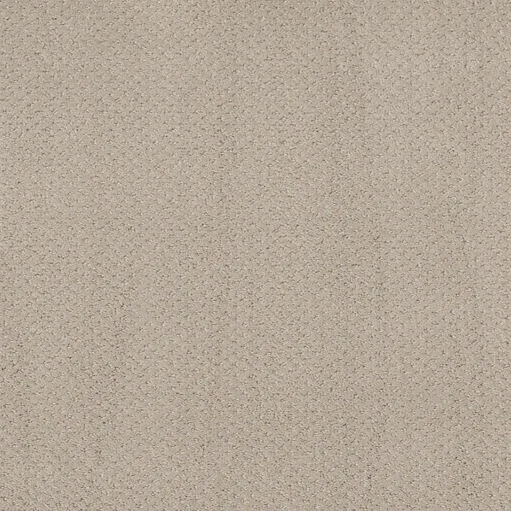 Shaw Floors Mainstay — Fossil Path · 5E292-00108 — flooring selection with LeviArs Design & Remodeling