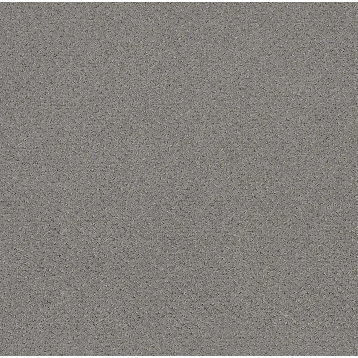 Shaw Floors Mainstay — Grey Fox · 5E292-00504 — flooring selection with LeviArs Design & Remodeling