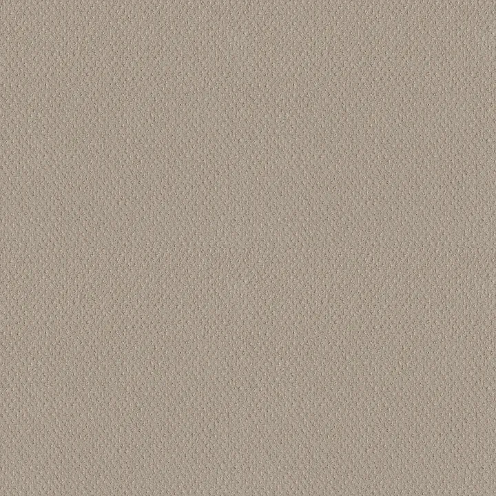 Shaw Floors Mainstay — Newstone Haven · 5E292-00502 — flooring selection with LeviArs Design & Remodeling