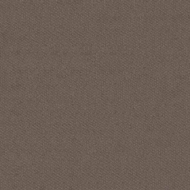 Shaw Floors Mainstay — Ridgeview · 5E292-00751 — flooring selection with LeviArs Design & Remodeling