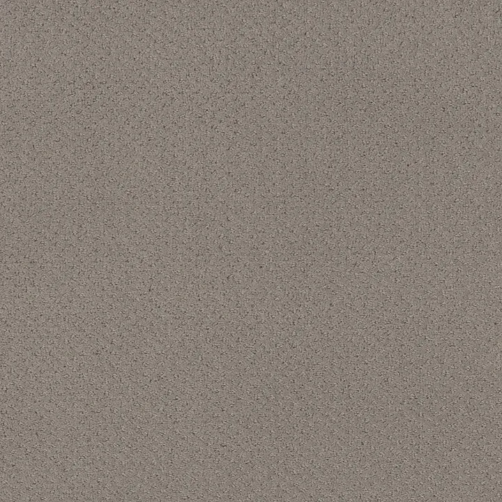 Shaw Floors Mainstay — River Run · 5E292-00700 — flooring selection with LeviArs Design & Remodeling