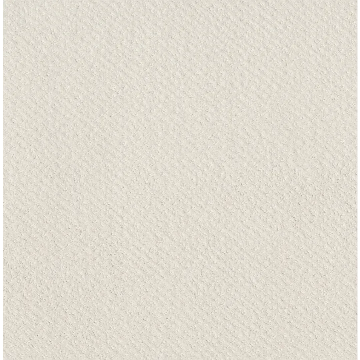 Shaw Floors Mainstay — Serene Still · 5E292-00101 — flooring selection with LeviArs Design & Remodeling