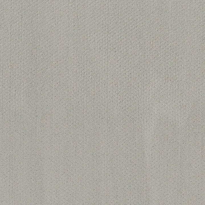 Shaw Floors Mainstay — Silver Lining · 5E292-00500 — flooring selection with LeviArs Design & Remodeling